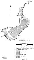 Cheeseman (delta) Lake