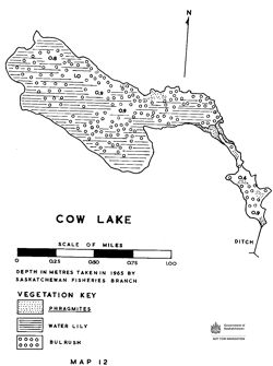 Bathymetric map of Cow Lake