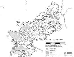 Junction Lake (delta)