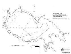 Bathymetric map of Little Quill Lake