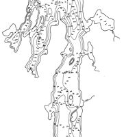 Bathymetric map for BARTLETT.pdf