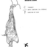 Bathymetric map for Bizarre.pdf