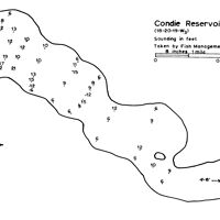 Bathymetric map for Condie.pdf