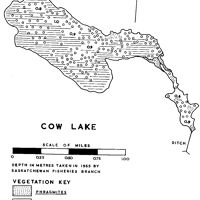 Bathymetric map for Cow.pdf