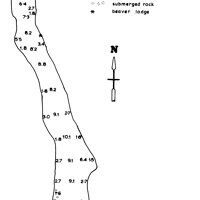 Bathymetric map for Deer_1978.pdf