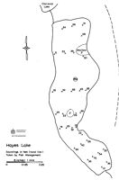 Bathymetric map for hayes.pdf