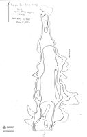 Bathymetric map for larsen_dam.pdf