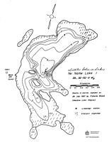 Bathymetric map for little_island.pdf