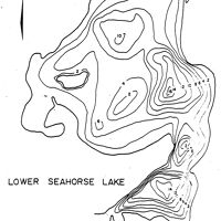 Bathymetric map for Lower_Seahorse.pdf