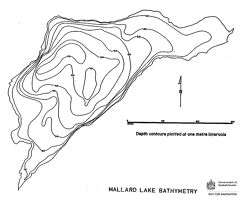 Bathymetric map for mallard.pdf