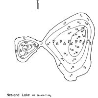 Bathymetric map for NESLAND.pdf