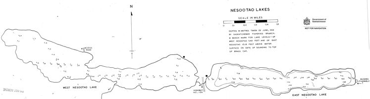 Bathymetric map for nesootao.pdf