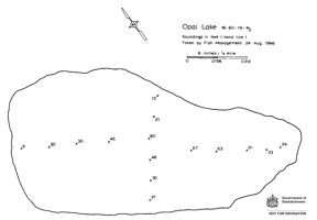 Bathymetric map for opal.pdf