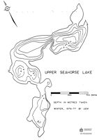 Seahorse (upper)