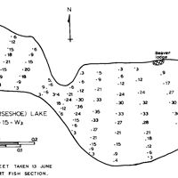 Bathymetric map for SKI_LODGE.pdf