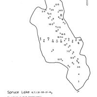 Bathymetric map for SPRUCE_1960.pdf