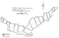 Bathymetric map for summit.pdf