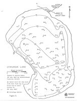 Bathymetric map for utikumak.pdf