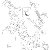 Bathymetric map for Wood.pdf