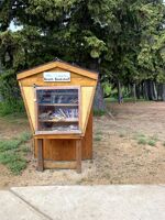 Tiny library at the beach.