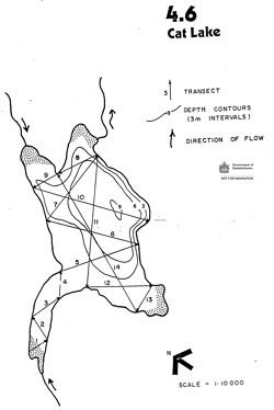 Bathymetric map of Cat Lake