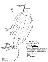 Leaf Lake