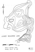 Seahorse (lower)
