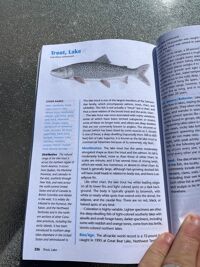 Lake trout page from the guide.